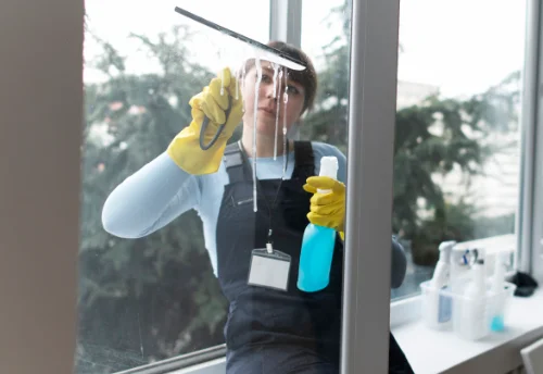 Nettoyage de vitres intérieures et extérieures à Mantry